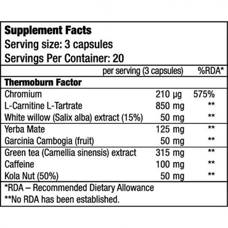 Arzator de Grasimi, BioTechUSA Thermo Drine,  60caps